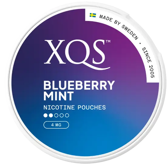 XQS Blueberry Mint 4mg nicotine pouches can